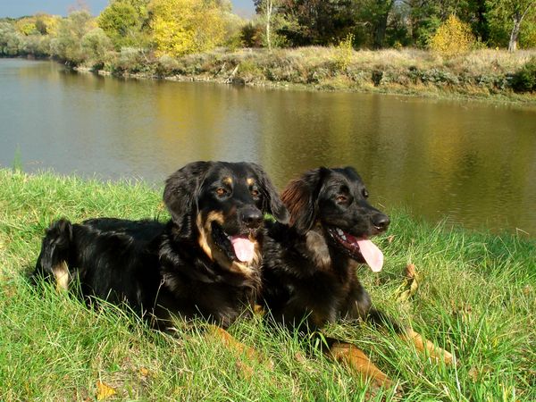 Alena und Doeen in einer wunderschönen Herbstlandschaft